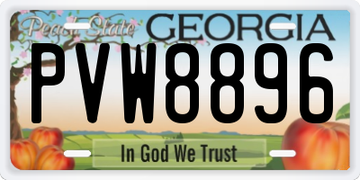 GA license plate PVW8896