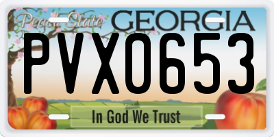 GA license plate PVX0653