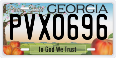 GA license plate PVX0696
