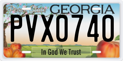 GA license plate PVX0740