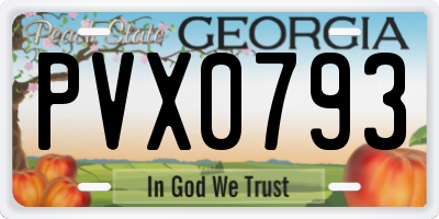GA license plate PVX0793