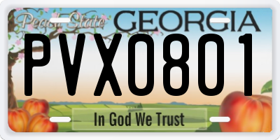 GA license plate PVX0801
