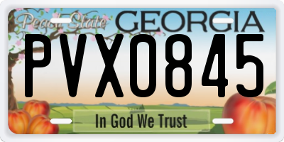 GA license plate PVX0845