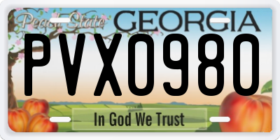 GA license plate PVX0980