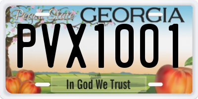 GA license plate PVX1001