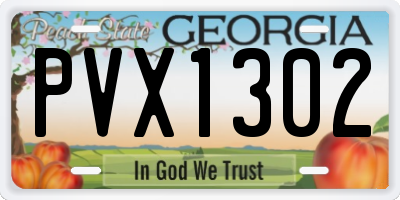 GA license plate PVX1302