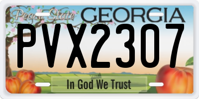 GA license plate PVX2307