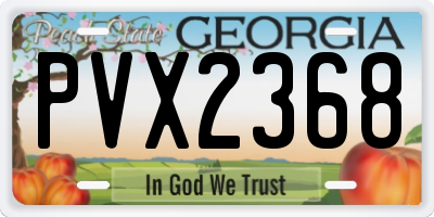 GA license plate PVX2368