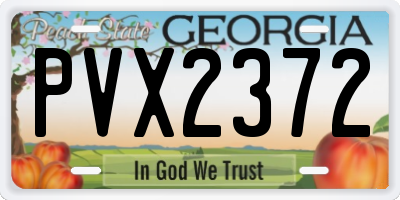 GA license plate PVX2372