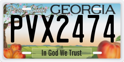 GA license plate PVX2474