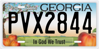 GA license plate PVX2844