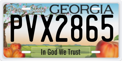 GA license plate PVX2865