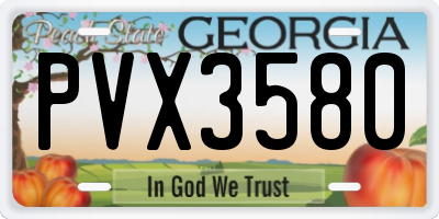 GA license plate PVX3580