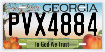 GA license plate PVX4884