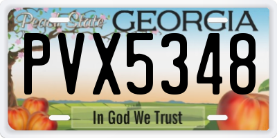 GA license plate PVX5348