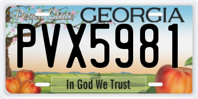 GA license plate PVX5981