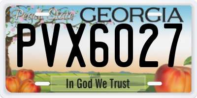 GA license plate PVX6027