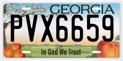 GA license plate PVX6659