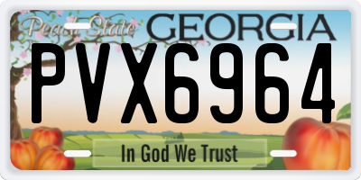 GA license plate PVX6964