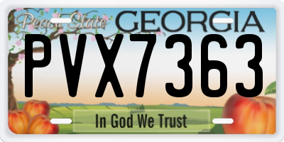 GA license plate PVX7363