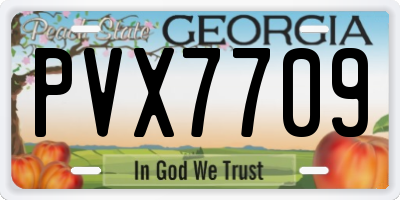 GA license plate PVX7709