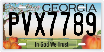 GA license plate PVX7789