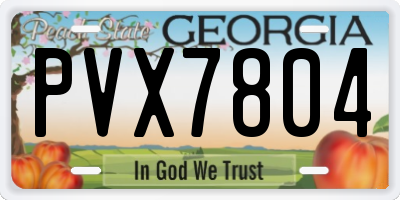 GA license plate PVX7804
