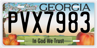 GA license plate PVX7983