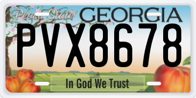 GA license plate PVX8678