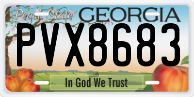 GA license plate PVX8683