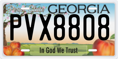 GA license plate PVX8808