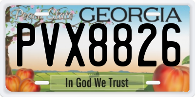 GA license plate PVX8826