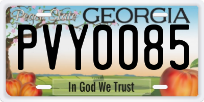 GA license plate PVY0085