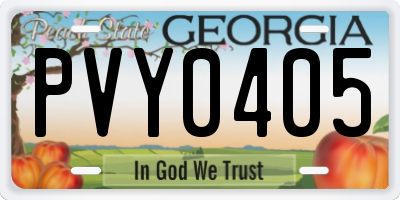 GA license plate PVY0405