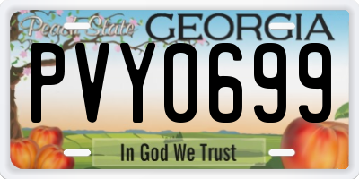 GA license plate PVY0699