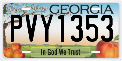 GA license plate PVY1353