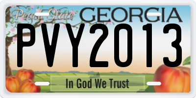 GA license plate PVY2013