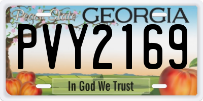 GA license plate PVY2169