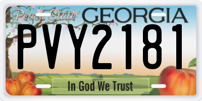 GA license plate PVY2181