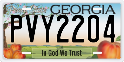 GA license plate PVY2204