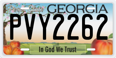 GA license plate PVY2262