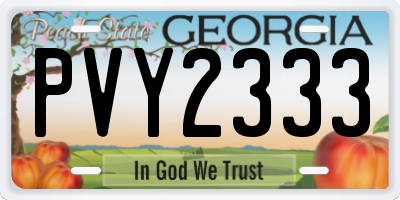 GA license plate PVY2333