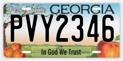 GA license plate PVY2346