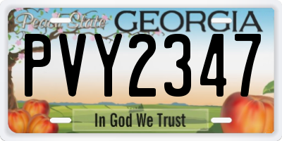 GA license plate PVY2347