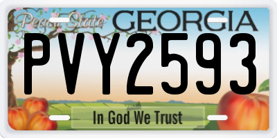GA license plate PVY2593