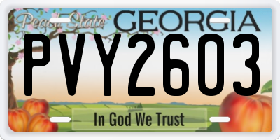 GA license plate PVY2603