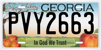 GA license plate PVY2663