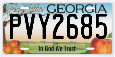 GA license plate PVY2685
