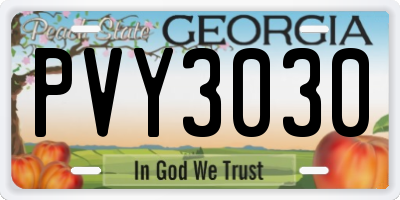 GA license plate PVY3030