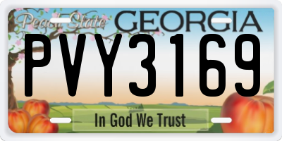 GA license plate PVY3169